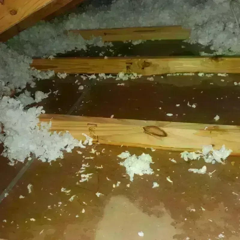 Attic Water Damage in Bolivar, NY